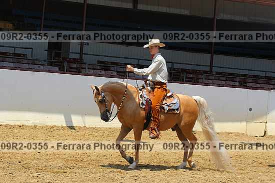 Proof 09r2-0355