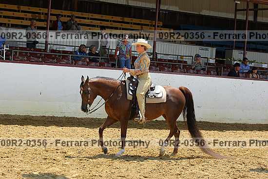 Proof 09r2-0356