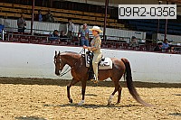 09r2-0356 proof