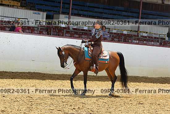 Proof 09r2-0361