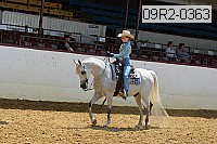 09r2-0363 proof
