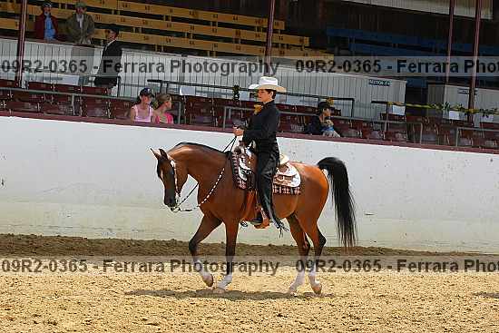 Proof 09r2-0365