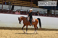 09r2-0365 proof