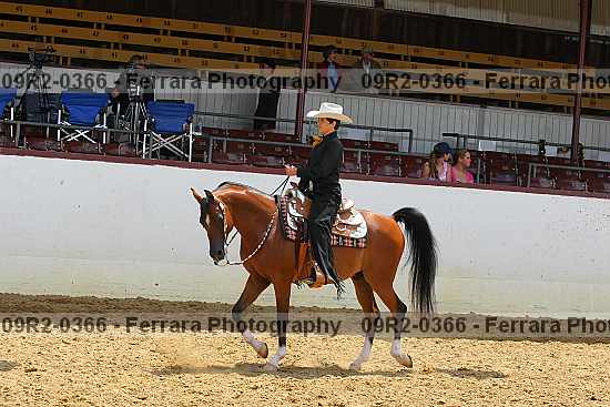 Proof 09r2-0366