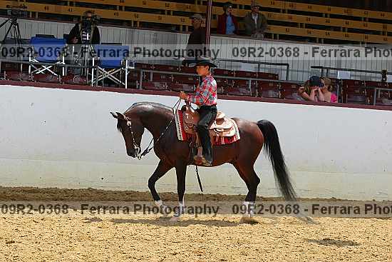 Proof 09r2-0368
