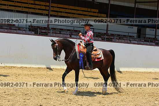 Proof 09r2-0371