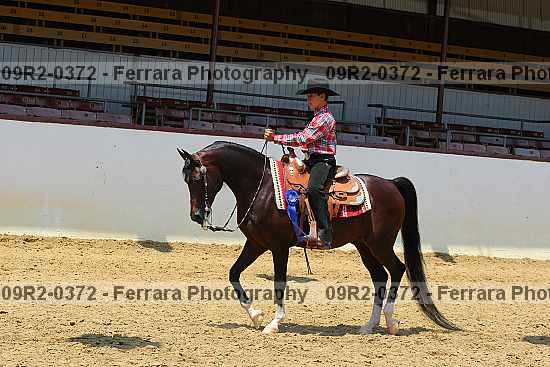 Proof 09r2-0372