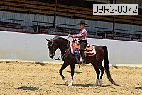 09r2-0372 proof