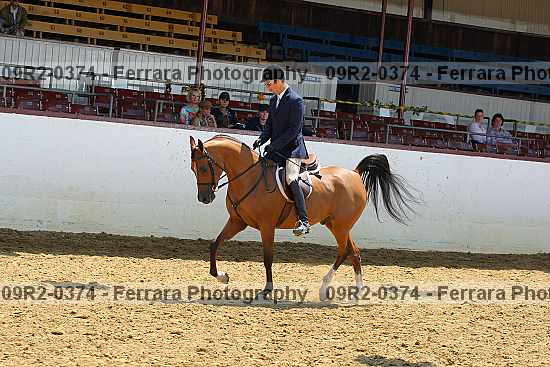 Proof 09r2-0374