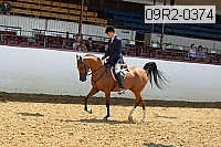 09r2-0374 proof