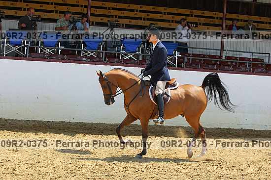 Proof 09r2-0375