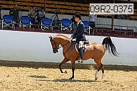 09r2-0375 proof