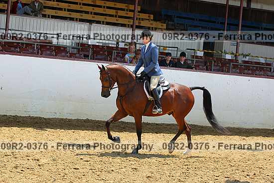 Proof 09r2-0376