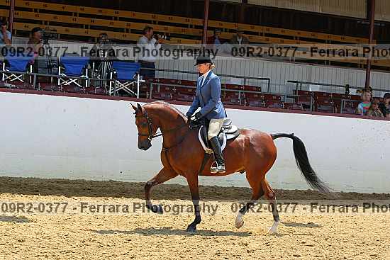 Proof 09r2-0377