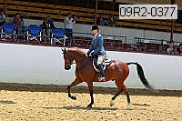 09r2-0377 proof