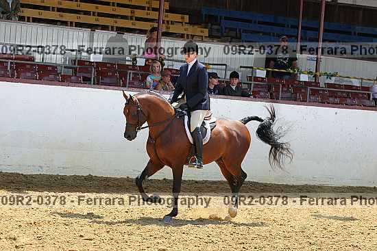 Proof 09r2-0378