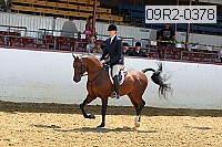 09r2-0378 proof