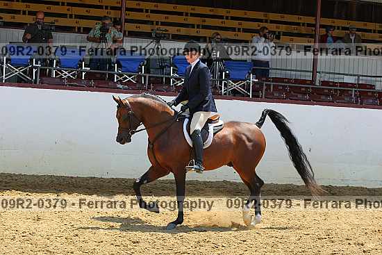 Proof 09r2-0379