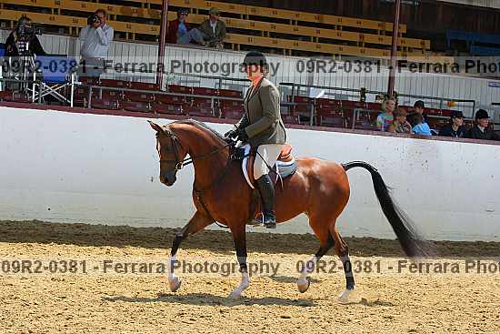 Proof 09r2-0381
