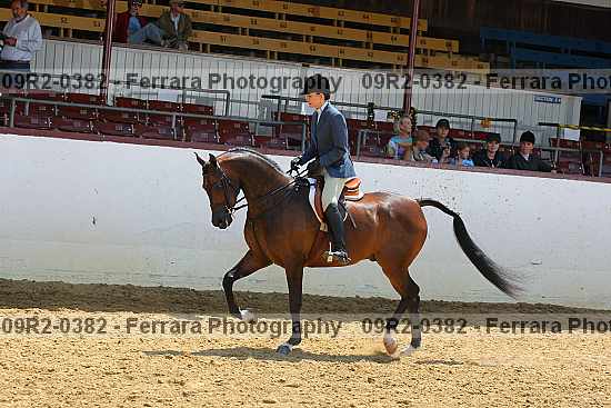 Proof 09r2-0382