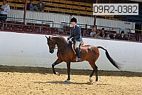 09r2-0382 proof