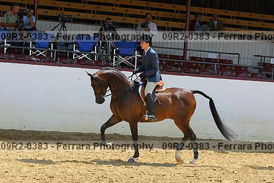 Proof 09r2-0383
