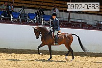 09r2-0383 proof