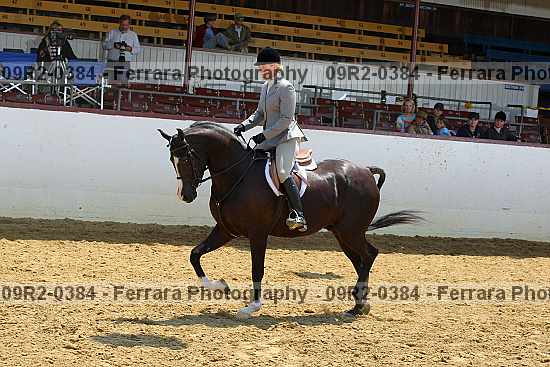 Proof 09r2-0384