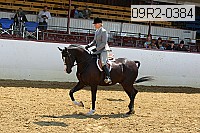 09r2-0384 proof
