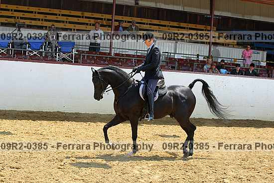 Proof 09r2-0385