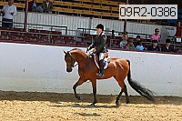 09r2-0386 proof