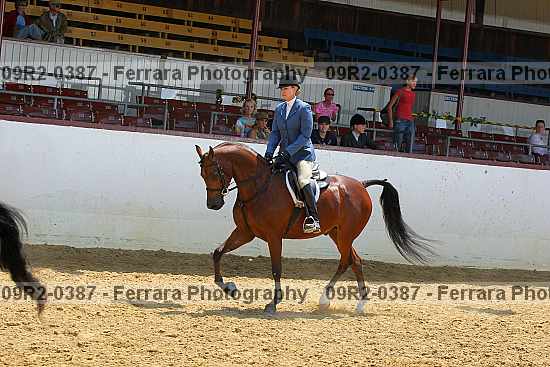 Proof 09r2-0387