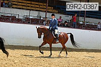 09r2-0387 proof