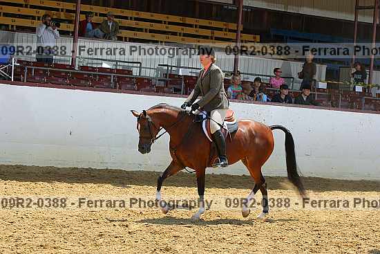 Proof 09r2-0388
