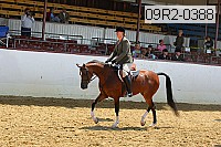 09r2-0388 proof
