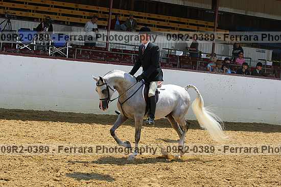 Proof 09r2-0389