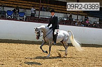 09r2-0389 proof