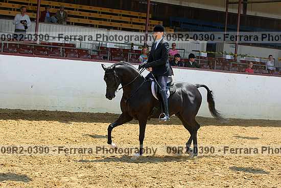 Proof 09r2-0390