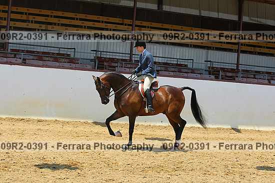 Proof 09r2-0391