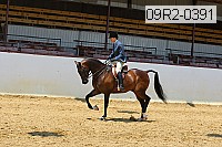09r2-0391 proof