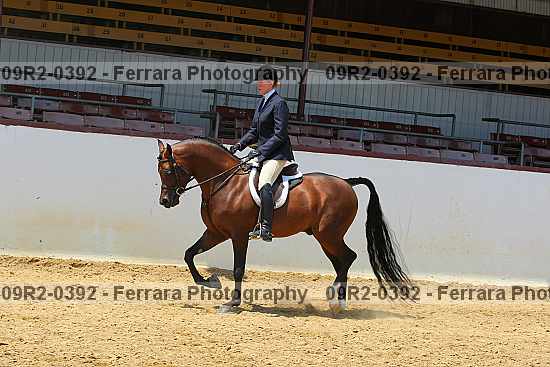 Proof 09r2-0392