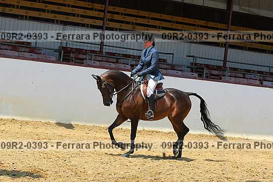 Proof 09r2-0393