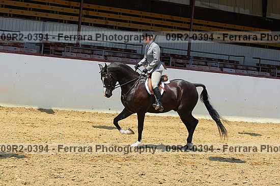 Proof 09r2-0394