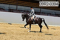 09r2-0394 proof
