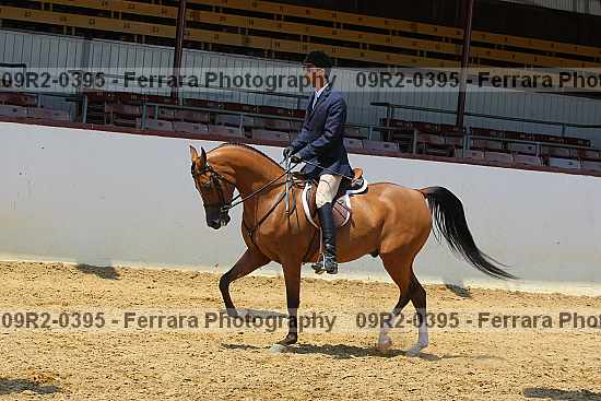 Proof 09r2-0395