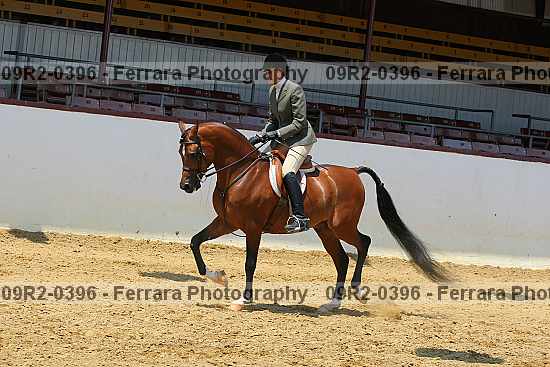 Proof 09r2-0396