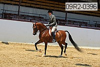 09r2-0396 proof
