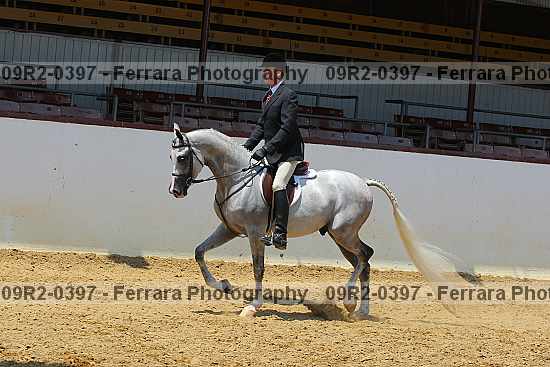 Proof 09r2-0397