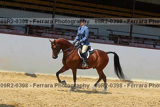 Proof 09r2-0398