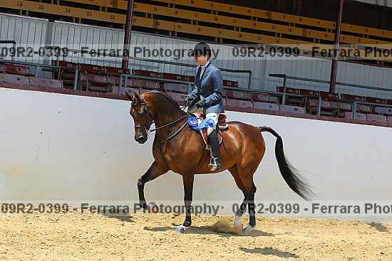 Proof 09r2-0399